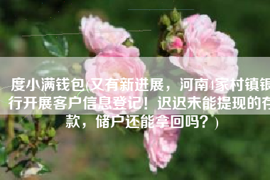 度小满钱包(又有新进展，河南4家村镇银行开展客户信息登记！迟迟未能提现的存款，储户还能拿回吗？)