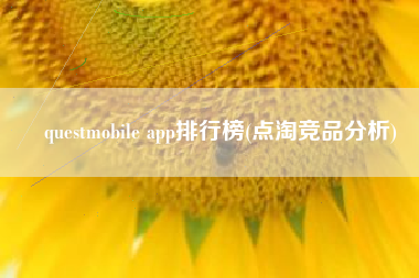 questmobile app排行榜(点淘竞品分析)