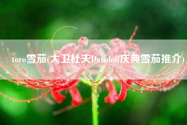toro雪茄(大卫杜夫Davidoff庆典雪茄推介)