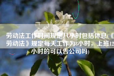劳动法工作时间规定八小时包括休息(《劳动法》规定每天工作为8小时，上班12小时的可以告公司吗)