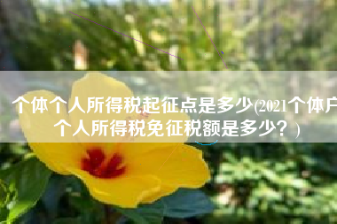 个体个人所得税起征点是多少(2021个体户个人所得税免征税额是多少？)