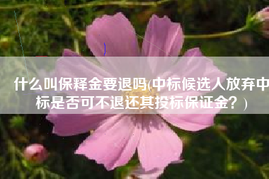 什么叫保释金要退吗(中标候选人放弃中标是否可不退还其投标保证金？)