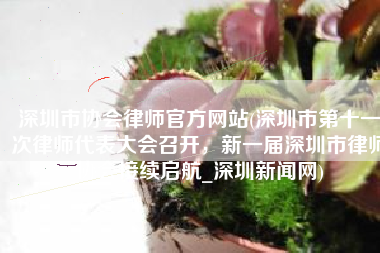 深圳市协会律师官方网站(深圳市第十一次律师代表大会召开，新一届深圳市律师协会接续启航_深圳新闻网)