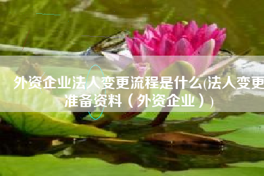 外资企业法人变更流程是什么(法人变更准备资料（外资企业）)