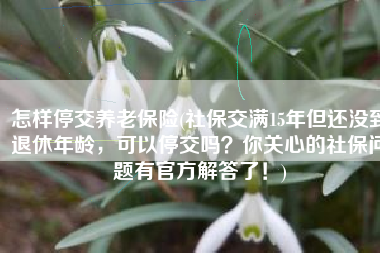 怎样停交养老保险(社保交满15年但还没到退休年龄，可以停交吗？你关心的社保问题有官方解答了！)