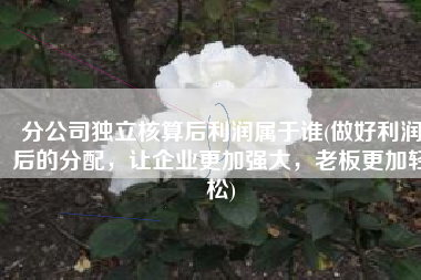 分公司独立核算后利润属于谁(做好利润后的分配，让企业更加强大，老板更加轻松)