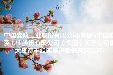 中国嘉陵工业股份有限公司(集团)(中国嘉陵工业股份有限公司（集团）关于公司重大资产重组实施进展情况的公告)