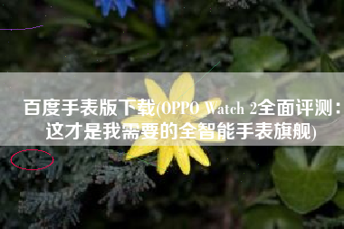 百度手表版下载(OPPO Watch 2全面评测：这才是我需要的全智能手表旗舰)