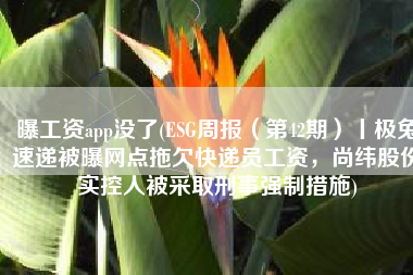 曝工资app没了(ESG周报（第42期）丨极兔速递被曝网点拖欠快递员工资，尚纬股份实控人被采取刑事强制措施)