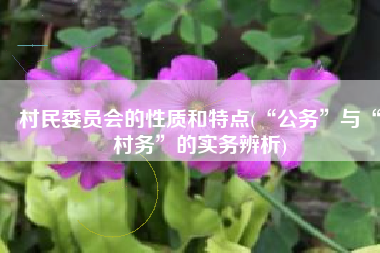 村民委员会的性质和特点(“公务”与“村务”的实务辨析)