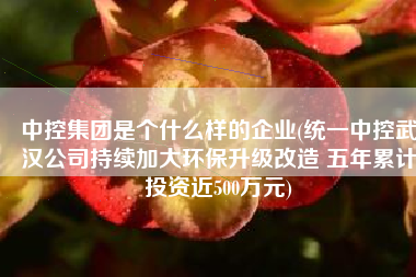 中控集团是个什么样的企业(统一中控武汉公司持续加大环保升级改造 五年累计投资近500万元)