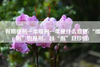 有期徒刑一年缓刑一年是什么意思(“缓刑”也是刑，且“刑”且珍惜)