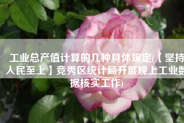 工业总产值计算的几种具体规定(【坚持人民至上】竞秀区统计局开展规上工业数据核实工作)