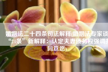 婚姻法二十四条司法解释(婚姻法专家谈“24条”新解释：认定夫妻债务应强调共同意愿)