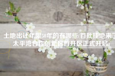土地出让年限50年的有哪些(首批挂地来了 太平湾合作创新区首开区正式开启)