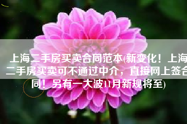 上海二手房买卖合同范本(新变化！上海二手房买卖可不通过中介，直接网上签合同！另有一大波11月新规将至)