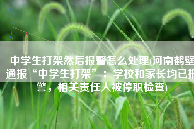 中学生打架然后报警怎么处理(河南鹤壁通报“中学生打架”：学校和家长均已报警，相关责任人被停职检查)