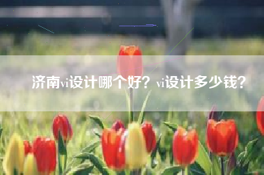 济南vi设计哪个好？vi设计多少钱？
