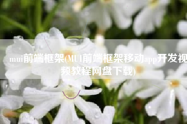 mui前端框架(MUI前端框架移动app开发视频教程网盘下载)