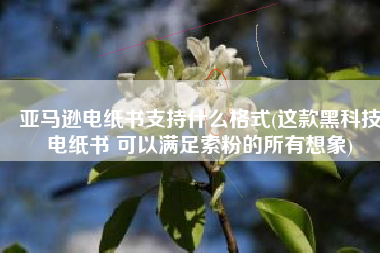 亚马逊电纸书支持什么格式(这款黑科技电纸书 可以满足索粉的所有想象)