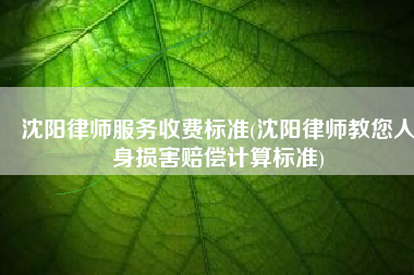 沈阳律师服务收费标准(沈阳律师教您人身损害赔偿计算标准)