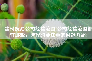 建材贸易公司经营范围(公司经营范围都有哪些，选择时要注意的问题介绍)