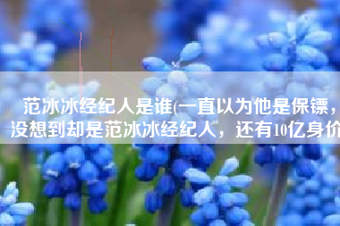 范冰冰经纪人是谁(一直以为他是保镖，没想到却是范冰冰经纪人，还有10亿身价)