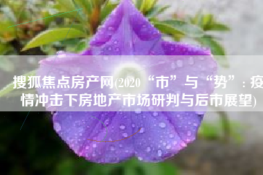 搜狐焦点房产网(2020“市”与“势”: 疫情冲击下房地产市场研判与后市展望)