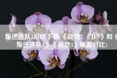 叛逆连队3游戏下载(《战地：门户》和《叛逆连队2》《战地3》画面对比)