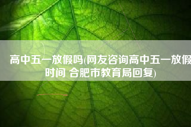 高中五一放假吗(网友咨询高中五一放假时间 合肥市教育局回复)