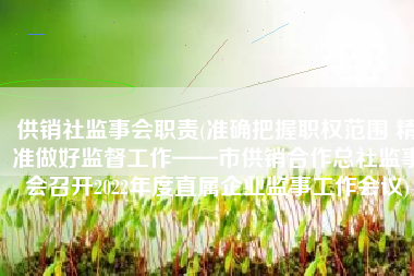 供销社监事会职责(准确把握职权范围 精准做好监督工作——市供销合作总社监事会召开2022年度直属企业监事工作会议)