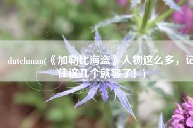 dutchman(《加勒比海盗》人物这么多，记住这几个就够了！)