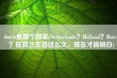 dutch是哪个国家(Netherlands？Holland？Dutch？在荷兰生活这么久，现在才搞明白)