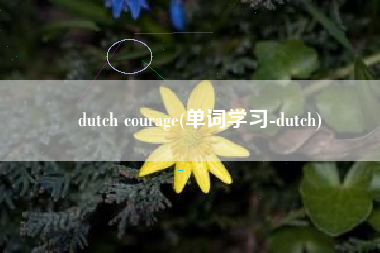 dutch courage(单词学习-dutch)