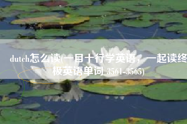 dutch怎么读(一目十行学英语，一起读终极英语单词 3561-3565)
