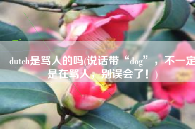 dutch是骂人的吗(说话带“dog”，不一定是在骂人，别误会了！)