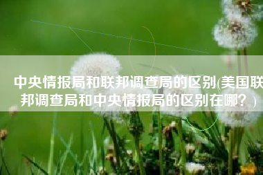 中央情报局和联邦调查局的区别(美国联邦调查局和中央情报局的区别在哪？)