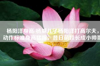 杨阳洋身高(杨威儿子杨阳洋打高尔夫，动作标准身高猛蹿，昔日萌娃长成小帅哥)