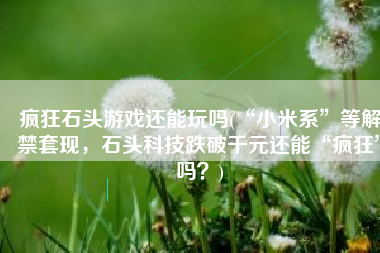 疯狂石头游戏还能玩吗(“小米系”等解禁套现，石头科技跌破千元还能“疯狂”吗？)