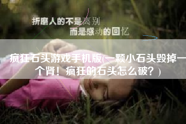 疯狂石头游戏手机版(一颗小石头毁掉一个肾！疯狂的石头怎么破？)