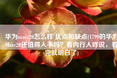 华为mate20怎么样 优点和缺点(1799的华为Mate20还值得入手吗？看内行人咋说，看完就明白了)