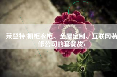 莱登特(橱柜衣柜、全屋定制、互联网装修公司的套餐战)