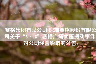 赛格集团有限公司(深圳赛格股份有限公司关于“5·18”赛格广场大厦振动事件 对公司经营影响的公告)