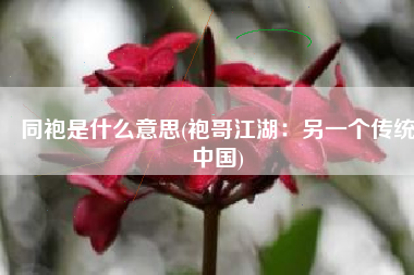 同袍是什么意思(袍哥江湖：另一个传统中国)