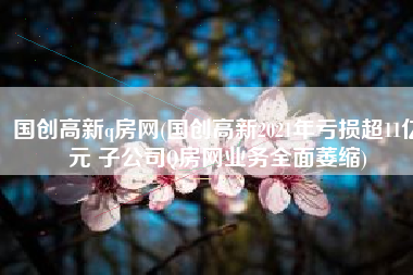 国创高新q房网(国创高新2021年亏损超11亿元 子公司Q房网业务全面萎缩)