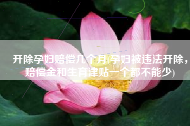 开除孕妇赔偿几个月(孕妇被违法开除，赔偿金和生育津贴一个都不能少)