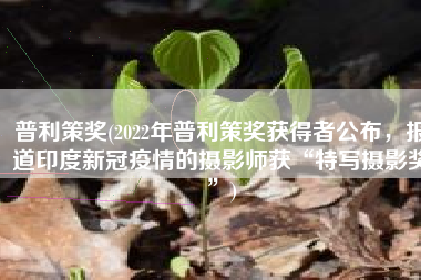 普利策奖(2022年普利策奖获得者公布，报道印度新冠疫情的摄影师获“特写摄影奖”)