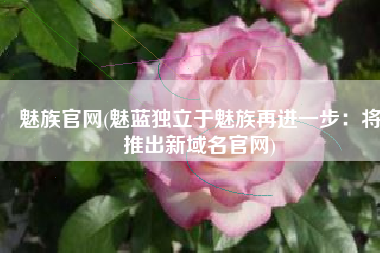 魅族官网(魅蓝独立于魅族再进一步：将推出新域名官网)