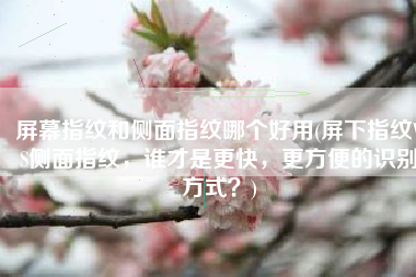 屏幕指纹和侧面指纹哪个好用(屏下指纹VS侧面指纹，谁才是更快，更方便的识别方式？)