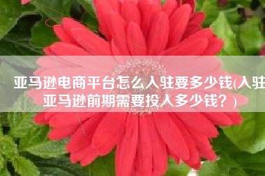 亚马逊电商平台怎么入驻要多少钱(入驻亚马逊前期需要投入多少钱？)